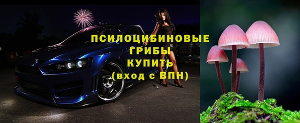 хмурый Аркадак