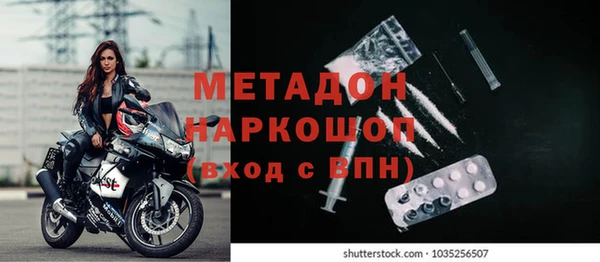 хмурый Аркадак