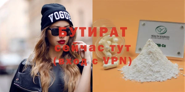 хмурый Аркадак