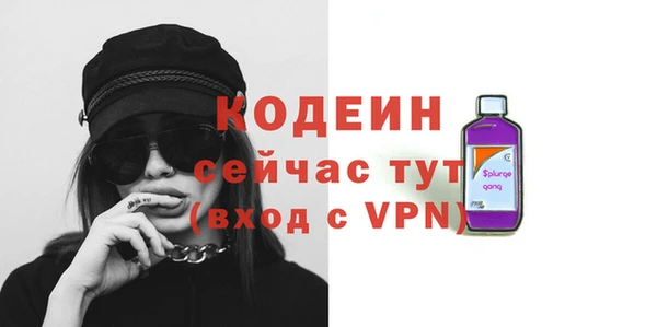 хмурый Аркадак