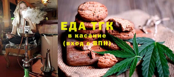 хмурый Аркадак