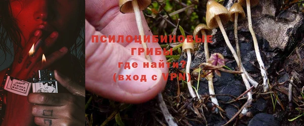 тгк Армянск