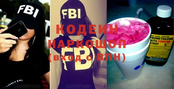 хмурый Аркадак