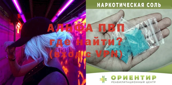 хмурый Аркадак