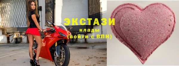 хмурый Аркадак