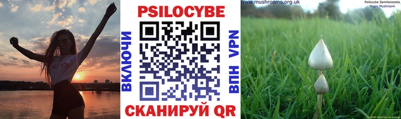 mega вход  Талдом  Псилоцибиновые грибы Psilocybine cubensis 